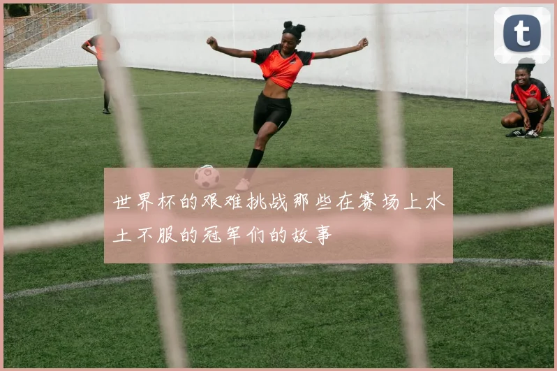 世界杯的艰难挑战那些在赛场上水土不服的冠军们的故事