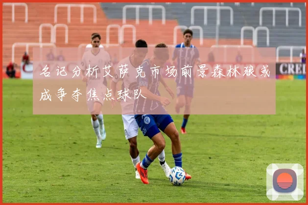 名记分析艾萨克市场前景森林狼或成争夺焦点球队
